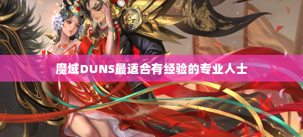 魔域DUNS最适合有经验的专业人士